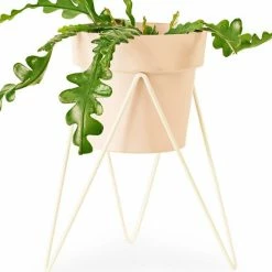 Bendo Pots & Hanging Baskets 'SPROUT' Plant Stand Mini & Small Pot Bundle