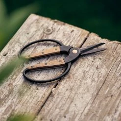 Secateurs Barebones - Small Scissors