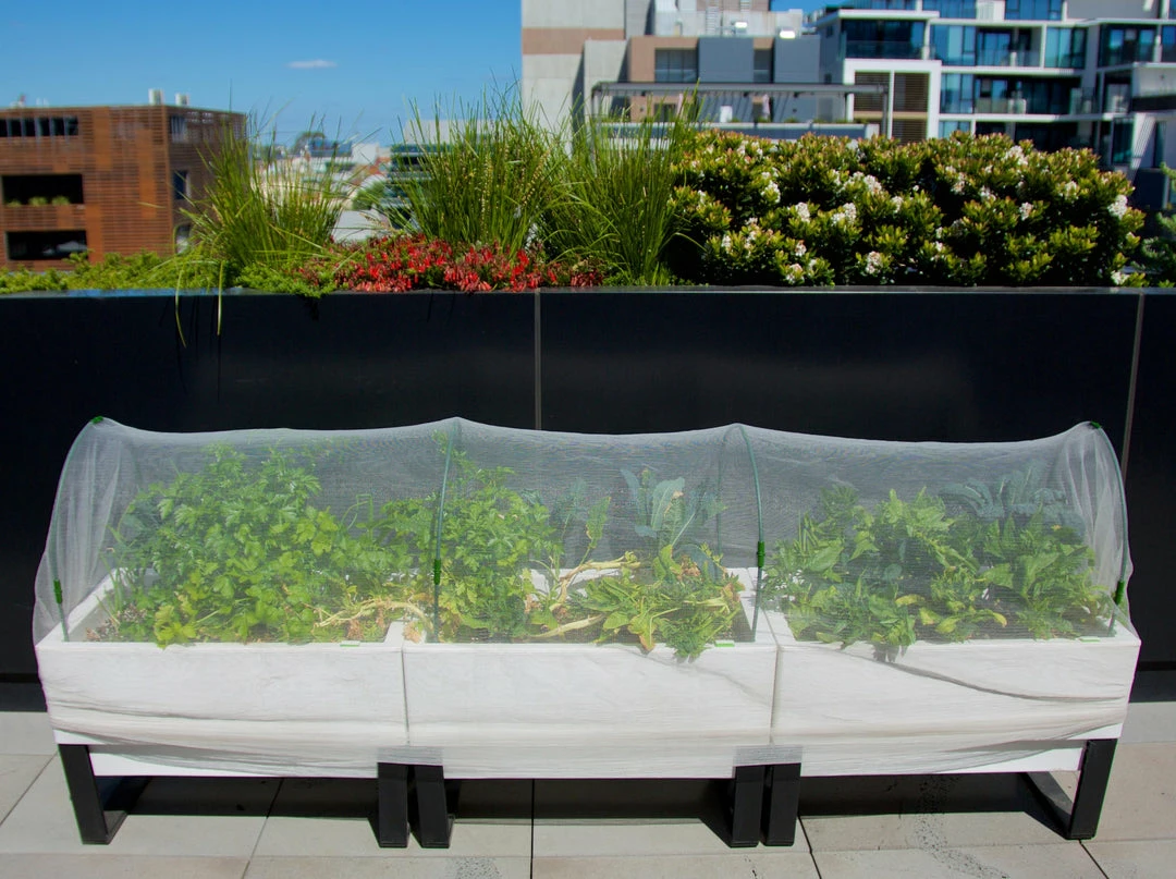 GLOWPEAR PTY LTD Soft Top Outdoor Living 5 GLOWPEAR PTY LTD Soft Top Outdoor Living