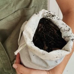 Pot + Plant Gift Box Monstera Deliciosa Tauerii - Pot + Plant + Soil Birthday