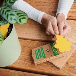 Super Ninja Fungal Gnat Sticky Traps 🦟 Pest Control