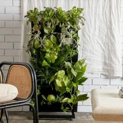 Indoor Garden Gift Kits Greenwall Kit - Includes Plants