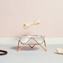 Bendo Best Selling Gifts The WOOF Dog Bowl - MIX 'N MATCH