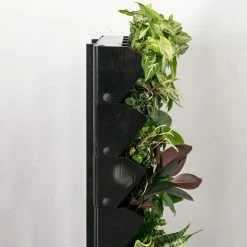 Indoor Garden Gift Kits Greenwall Kit - Includes Plants