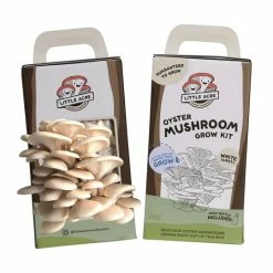 Little Acre Gourmet Mushrooms White Oyster Mushroom Grow Kit Gift Kits