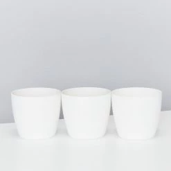 Elho Plant + Pot Multi Packs Mini Eco Gifting Pots With Cacti