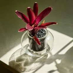 Plants In A Box Clear Glass Self-Watering Planter