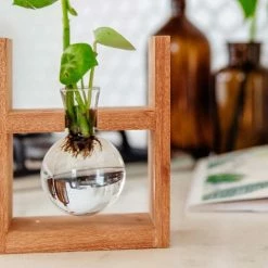 Cooper And Smith Arwen Propagation Station