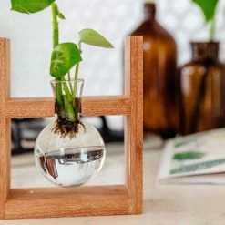 Cooper And Smith Arwen Handcrafted Propagation Stations - 3 Pack