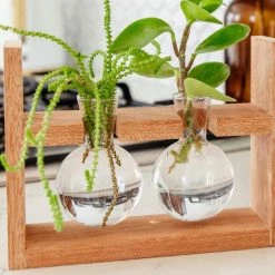 Cooper And Smith Arwen Propagation Station