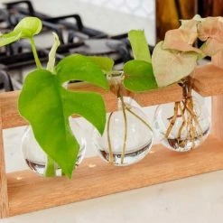 Cooper And Smith Arwen Handcrafted Propagation Stations - 3 Pack