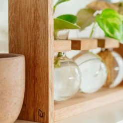 Cooper And Smith Arwen Handcrafted Propagation Stations - 3 Pack