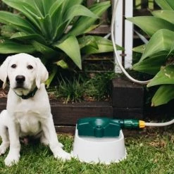 Hoselink Auto-fill Pet Bowl + 5m Hose & Tap Connector Hoses & Sprinklers