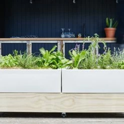 GLOWPEAR PTY LTD Outdoor Living Cafe Planter