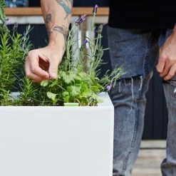 GLOWPEAR PTY LTD Outdoor Living Cafe Planter