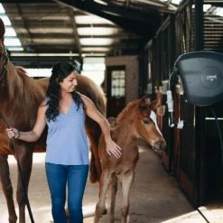 Hoselink Hoses & Sprinklers 20m Retractable Hose Reel - Charcoal 12 Hoselink Hoses & Sprinklers 20m Retractable Hose Reel - Charcoal