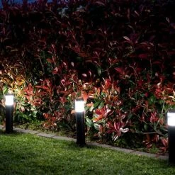 Hoselink Solar Garden Path Lights - Cool White (3 Pack)