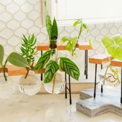 Cooper And Smith Fleur Propagation Station Propagation Stations