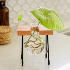 Cooper And Smith Fleur Propagation Station Propagation Stations