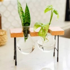 Cooper And Smith Fleur Propagation Station Propagation Stations