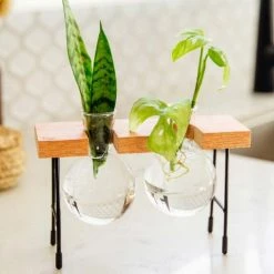 Cooper And Smith Fleur Propagation Station - 3 Pack