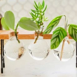 Cooper And Smith Fleur Propagation Station Propagation Stations