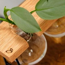 Cooper And Smith Fleur Propagation Station - 3 Pack