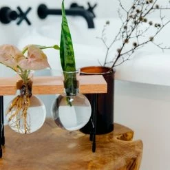 Cooper And Smith Fleur Propagation Station - 3 Pack