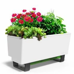 GLOWPEAR PTY LTD Mini Bench Outdoor Accessories