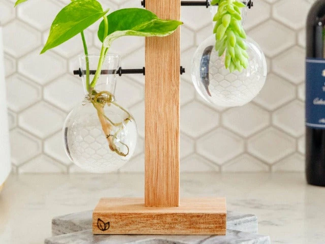 Cooper And Smith Propagation Stations Harper Propagation Station - 3 Pack 4 Cooper And Smith Propagation Stations Harper Propagation Station - 3 Pack