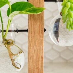 Cooper And Smith Propagation Stations Harper Propagation Station - 3 Pack 14 Cooper And Smith Propagation Stations Harper Propagation Station - 3 Pack