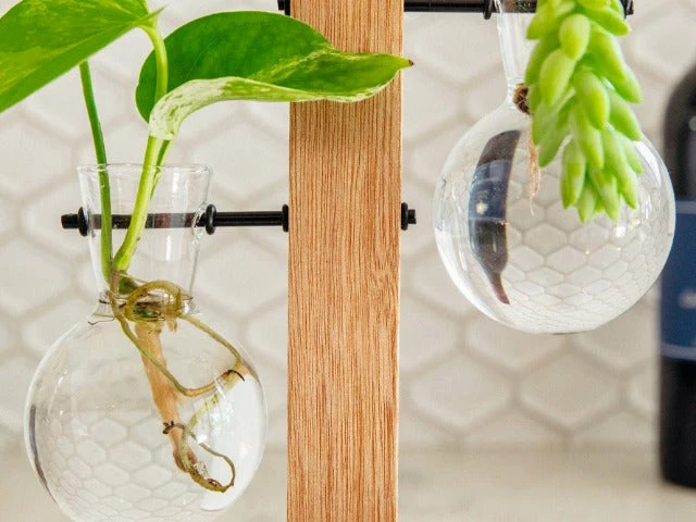 Cooper And Smith Propagation Stations Harper Propagation Station - 3 Pack 8 Cooper And Smith Propagation Stations Harper Propagation Station - 3 Pack