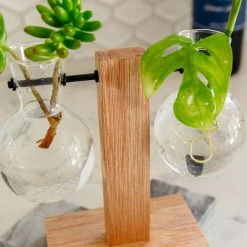 Cooper And Smith Harper Propagation Station