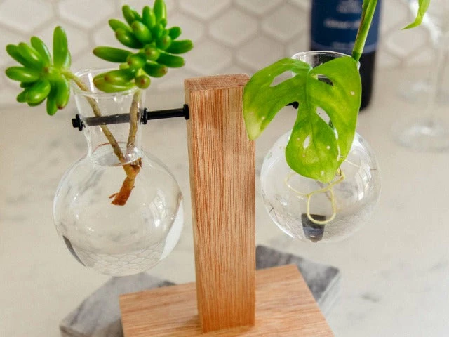 Cooper And Smith Propagation Stations Harper Propagation Station - 3 Pack 9 Cooper And Smith Propagation Stations Harper Propagation Station - 3 Pack