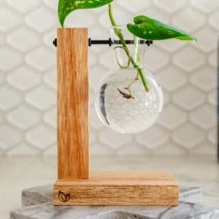 Cooper And Smith Harper Propagation Station