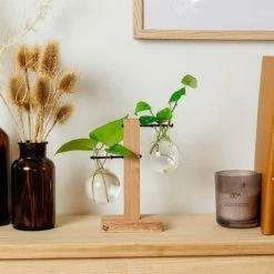 Cooper And Smith Harper Propagation Station