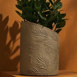 Tree Stripes Pty Ltd Hi-Lo Pot Palms - Light Brown Pots & Hanging Baskets