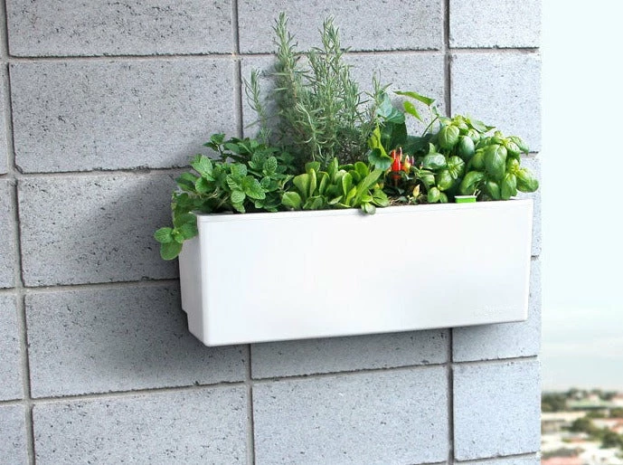 GLOWPEAR PTY LTD Mini Wall Outdoor Living 7 GLOWPEAR PTY LTD Mini Wall Outdoor Living