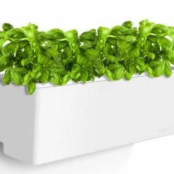 GLOWPEAR PTY LTD Mini Rail