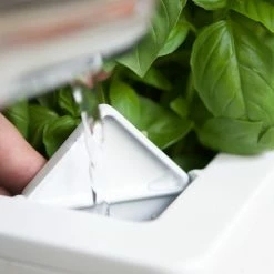 GLOWPEAR PTY LTD Mini Rail