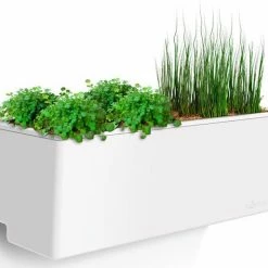 GLOWPEAR PTY LTD Mini Wall Outdoor Living 13 GLOWPEAR PTY LTD Mini Wall Outdoor Living