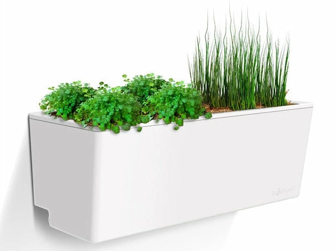 GLOWPEAR PTY LTD Mini Wall Outdoor Living 5 GLOWPEAR PTY LTD Mini Wall Outdoor Living