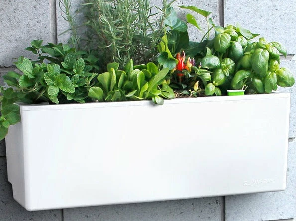 GLOWPEAR PTY LTD Mini Wall Outdoor Living 6 GLOWPEAR PTY LTD Mini Wall Outdoor Living