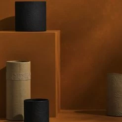 Tree Stripes Pty Ltd Pots & Hanging Baskets Cylinder Pot Monstera - Black