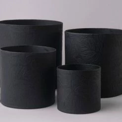 Tree Stripes Pty Ltd Pots & Hanging Baskets Cylinder Pot Monstera - Black