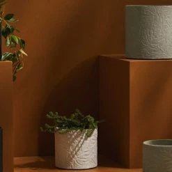 Tree Stripes Pty Ltd Pots & Hanging Baskets Cylinder Pot Monstera - Black