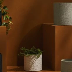 Tree Stripes Pty Ltd Pots & Hanging Baskets Cylinder Pot Monstera - White