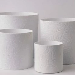 Tree Stripes Pty Ltd Pots & Hanging Baskets Cylinder Pot Monstera - White