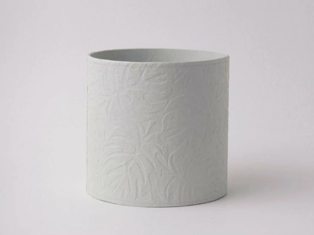 Tree Stripes Pty Ltd Cylinder Pot Monstera - Morning Mist 3 Tree Stripes Pty Ltd Cylinder Pot Monstera - Morning Mist