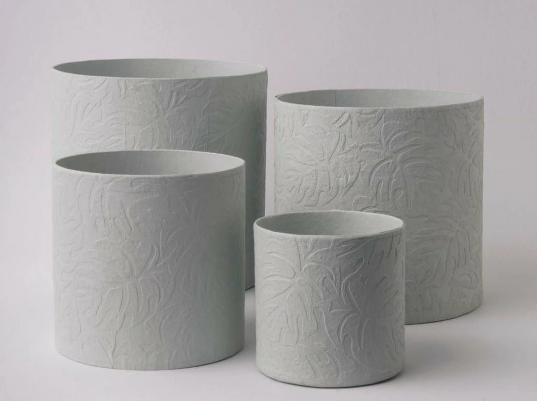 Tree Stripes Pty Ltd Cylinder Pot Monstera - Morning Mist 5 Tree Stripes Pty Ltd Cylinder Pot Monstera - Morning Mist